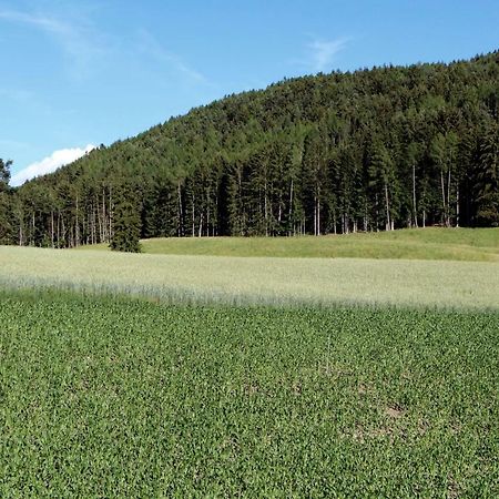 Spisserhof Кьюза Экстерьер фото